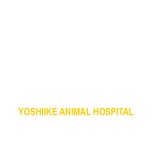 よしいけ動物病院