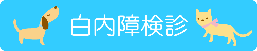 白内障健診