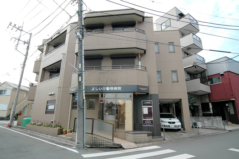 外観